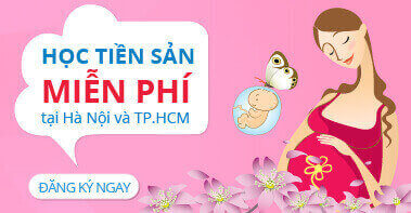 Bếp từ Fs Mix 266